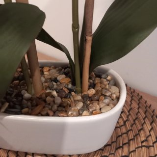 Orquídea Artificial Zara Home planta flor
