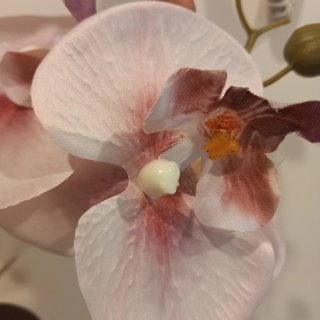 Orquídea Artificial Zara Home planta flor