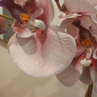 Orquídea Artificial Zara Home planta flor