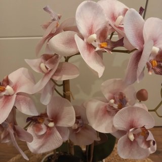 Orquídea Artificial Zara Home planta flor