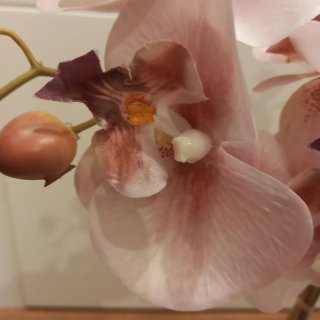Orquídea Artificial Zara Home planta flor