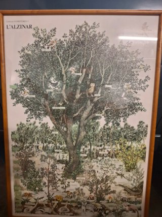 Cuadro Naturaleza L'Alzinar