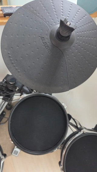Bateria Electrónica Alesis Surge Mesh Kit