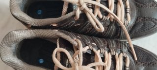 Zapatillas Skechers Mujer Marrón