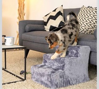 Escalera para perro gris