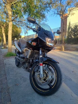 Honda CB600F Hornet 2003 | 95 CV | Muy cuidada