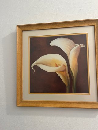 Cuadro Flores Tulipan Madera
