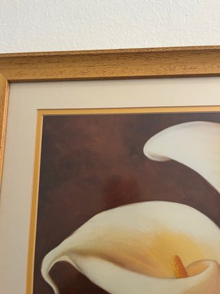 Cuadro Flores Tulipan Madera