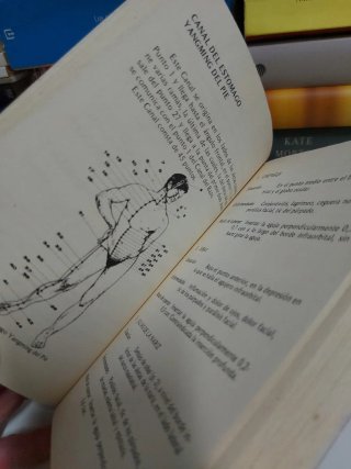 Libro. Acupuntura china por A. Li-Yau