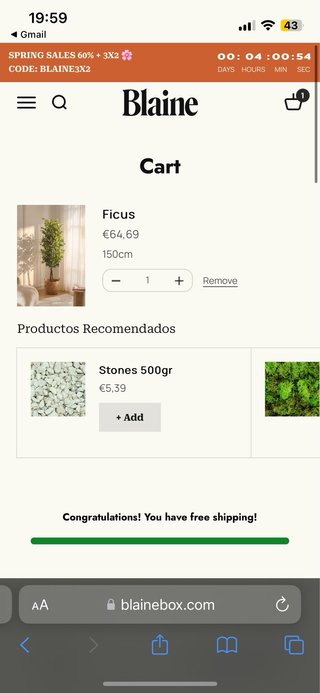 Planta Ficus Artificial Blaine 150cm