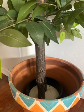 Planta Ficus Artificial Blaine 150cm