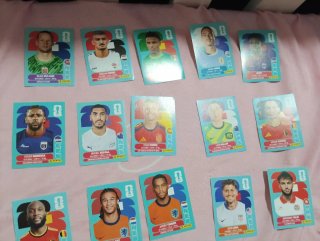 Panini World Cup Stickers