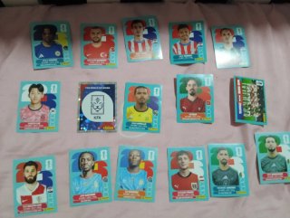 Panini World Cup Stickers