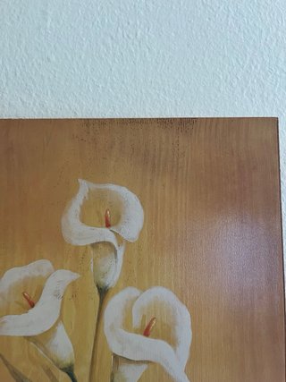 Cuadro de dos tulipanes