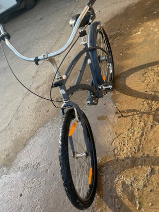 Bicicleta Estilo Cruiser Gris