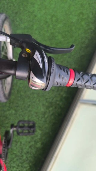 Bicicleta B-Pro 20 Roja