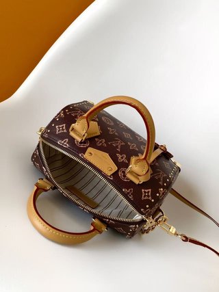 Bolso Louis Vuitton Marrón y Dorado
