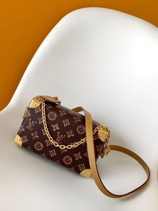 Bolso Louis Vuitton Marrón y Dorado