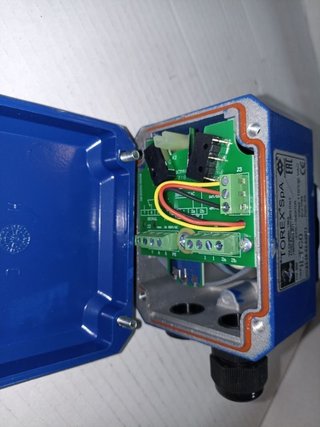 TOREX ILTC0
