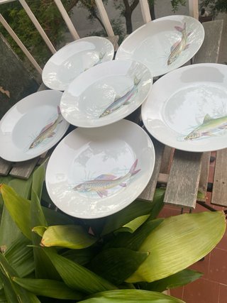 Vajilla de porcelana con peces