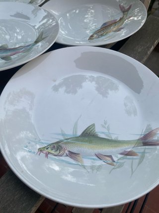 Vajilla de porcelana con peces