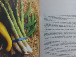 Comida Amiga De Mujer a Mujer