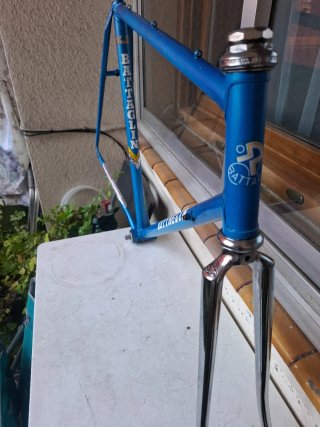 Cuadro Battaglin Talla 56 Zeus