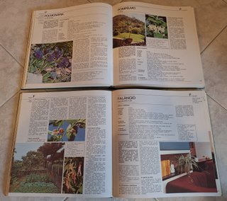 Fiori in casa: Enciclopedia pratica di giardinaggi