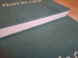 Fiori in casa: Enciclopedia pratica di giardinaggi
