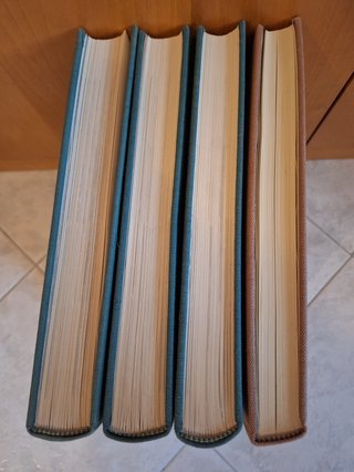 Fiori in casa: Enciclopedia pratica di giardinaggi