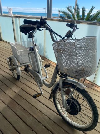 Bicicleta Eléctrica Triciclo con Cesta
