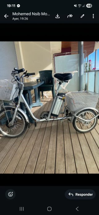 Bicicleta Eléctrica Triciclo con Cesta