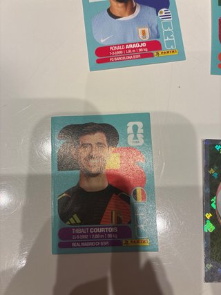 Cromos de fútbol Panini