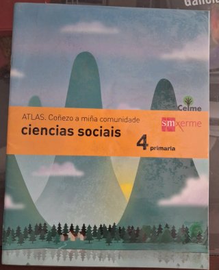 Lote de libros, 4 primaria Juntos o separados