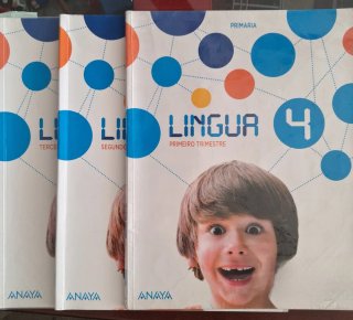 Lote de libros, 4 primaria Juntos o separados