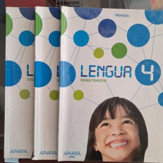 Lote de libros, 4 primaria Juntos o separados