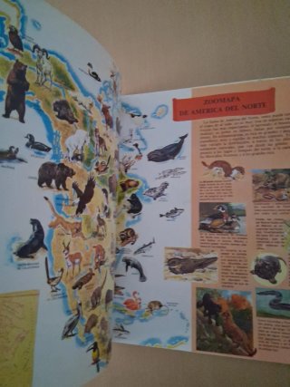 Vida íntima de los animales de América del Norte