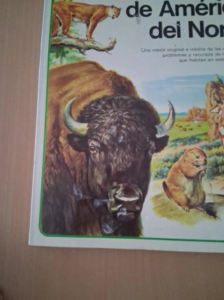 Vida íntima de los animales de América del Norte