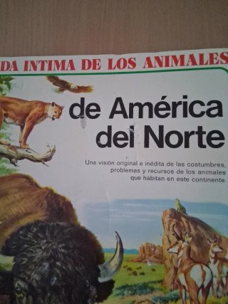 Vida íntima de los animales de América del Norte