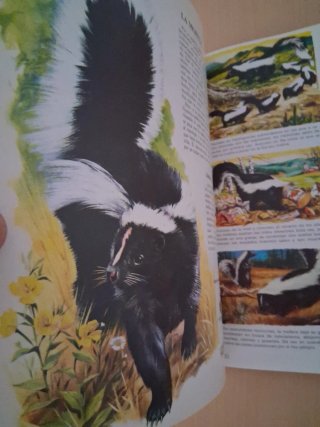 Vida íntima de los animales de América del Norte