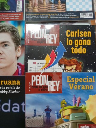 12 Revistas de ajedrez