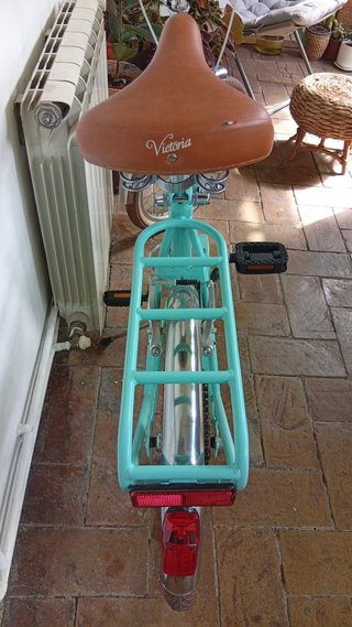 Bicicleta Victoria plegable verde