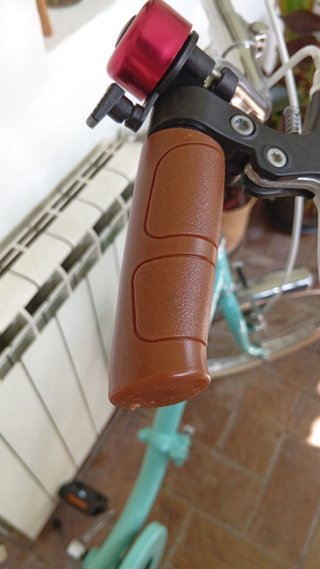 Bicicleta Victoria plegable verde