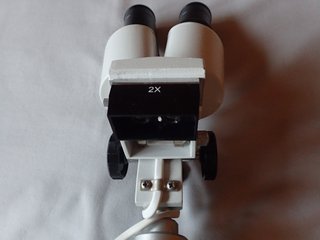Microscopio Binocular