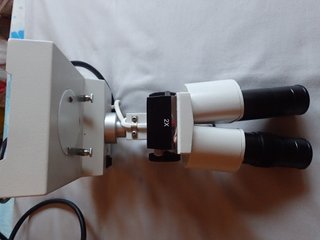 Microscopio Binocular