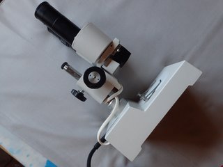 Microscopio Binocular