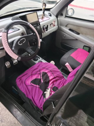 microcar XT100 2006
