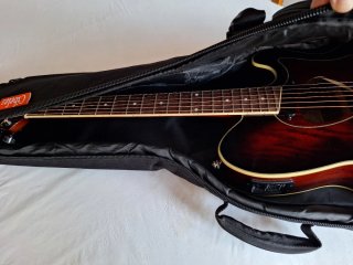 Ibanez TCM-50 Guitarra Electro-Acústica