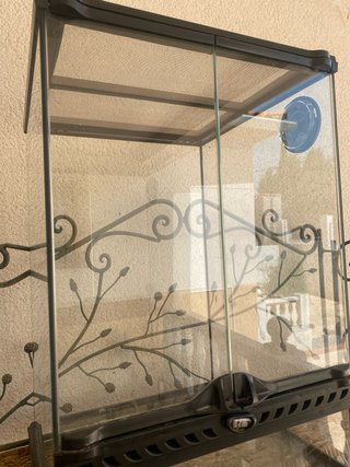 Terrario de cristal con termómetro e higrómetro