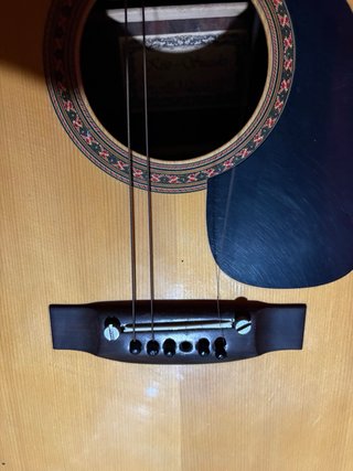 Guitarra Kiso Suzuki WE-150